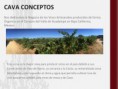 /album/cava-conceptos/slide02-jpg/